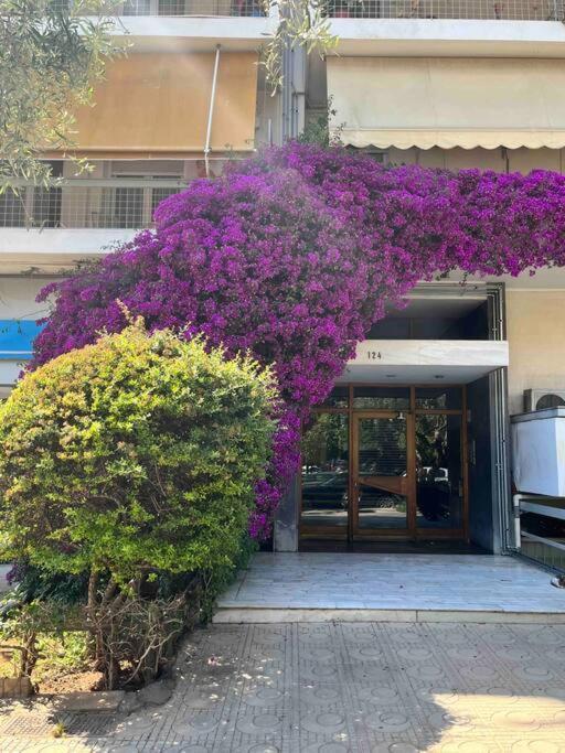 Bluexenia 1 Bedroom Retro Luxury Athen Eksteriør bilde